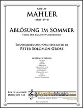Ablosung im Sommer Vocal Solo & Collections sheet music cover